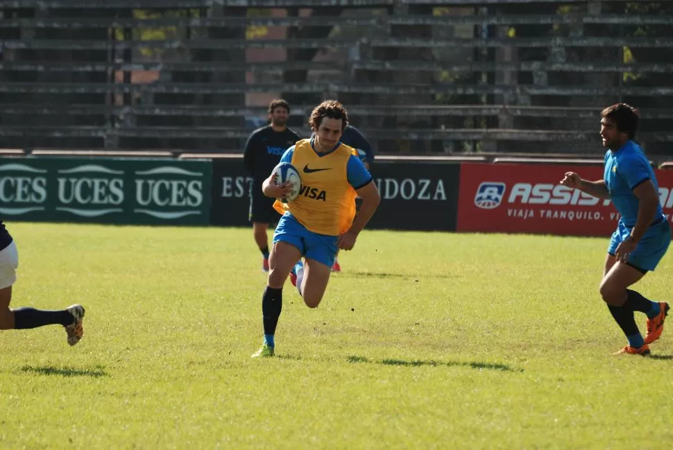 NINGÚN CACHORRO. Sánchez se acerca a los 50 caps: mañana jugará su test match número 42 con Los Pumas.  prensa uar