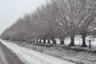 Las fotos de la nevada en Tafí del Valle