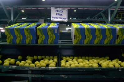 El HLB exige trabajar con mucha seriedad