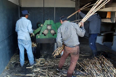 Agregado de valor en los cañaverales