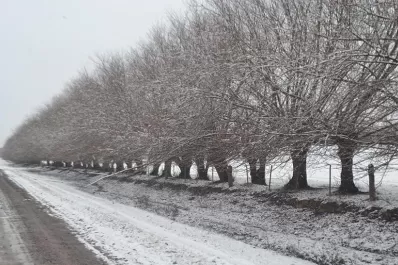 Las fotos de la nevada en Tafí del Valle