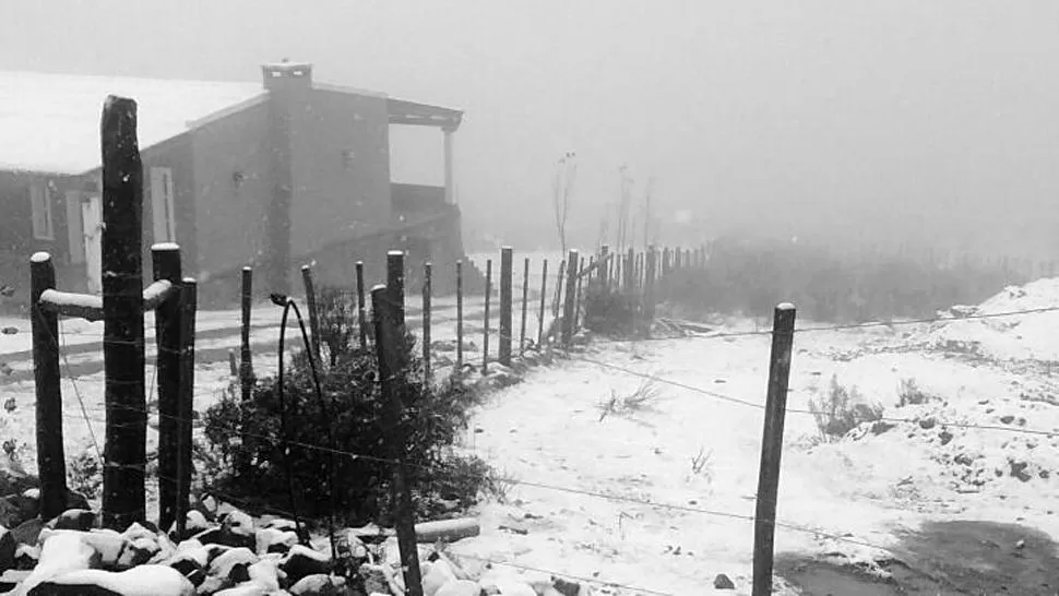 TODO BLANCO. La cantidad de nieve fue creciendo con el paso de las horas. FOTO ENVIADA POR UN LECTOR A TRAVÉS DE WHATSAPP