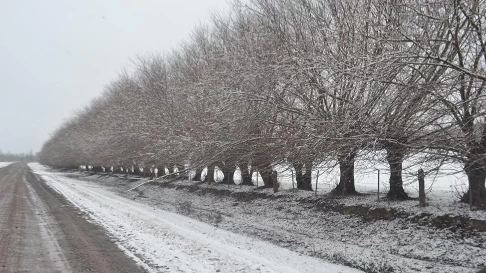 UNA POSTAL. La nieve entregA paisajes maravillosos en los Valles Calchaquíes. FOTO GENTILEZA JAVIER ASTORGA