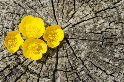 “Un relato nos expone a los acontecimientos y simultáneamente nos protege de ellos”