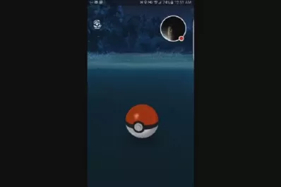 Video: cayó a un estanque mientras jugaba al Pokémon Go