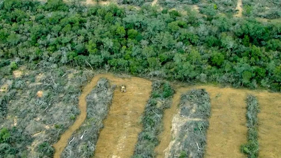 FOTO DE GREENPEACE.COM