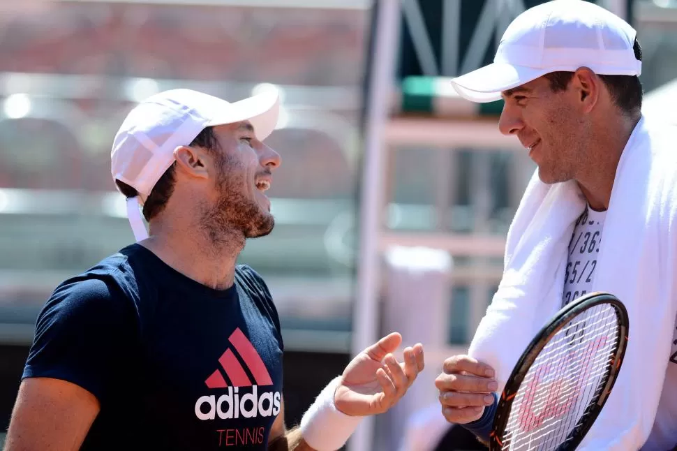 JUNTOS OTRA VEZ. Mónaco y Del Potro son los líderes naturales del equipo nacional, cuyo capitán es Daniel Orsanic. telam