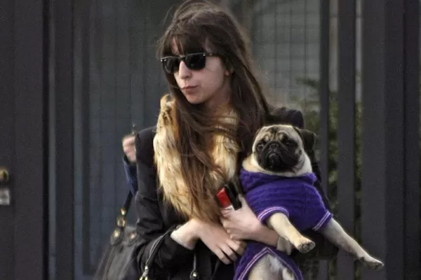 Florencia Kirchner:no encontraron nada, los dólares siempre estuvieron ahí y declarados