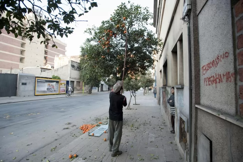  la gaceta  / foto de inés quinteros orio