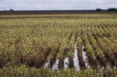 La agrometeorología concentró la atención