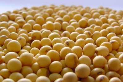 Se toman decisiones en base a las macroparcelas