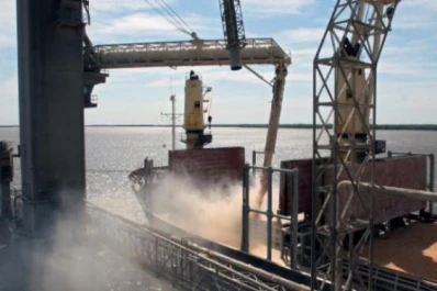 Récord de venta de harina de soja y maíz