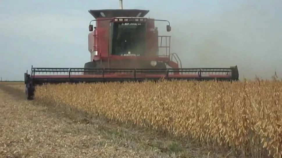 EFICIENCIA. El trabajo en el campo sigue incorporando moderna tecnología. 