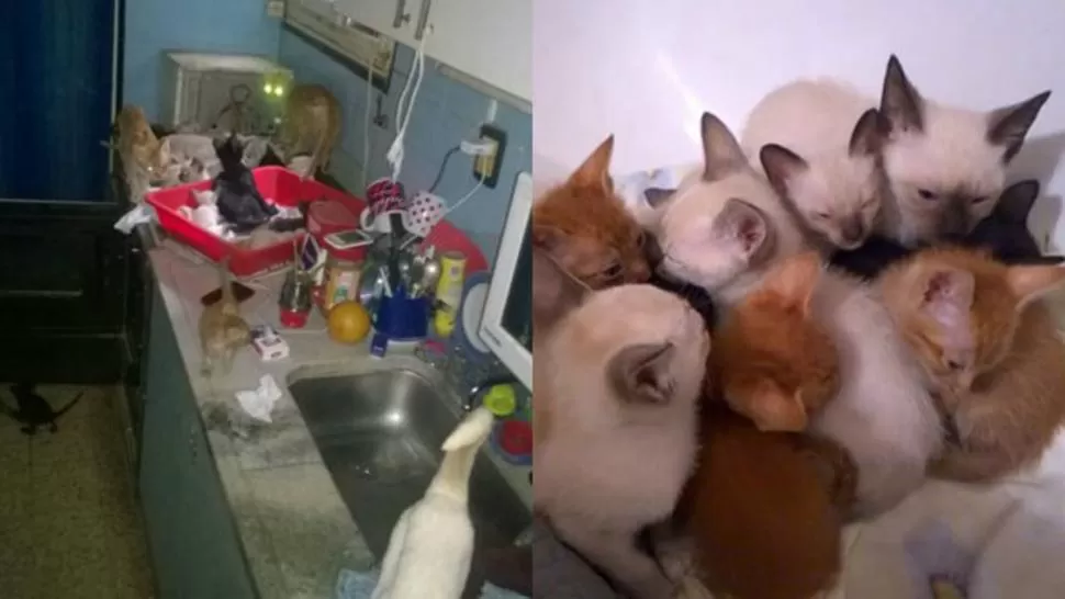 FOTO TOMADA DE MINUTO UNO
