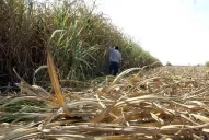 Se bajaron del taxi, golpearon a cuatro cosecheros y se tirotearon con la Policía
