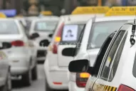 Hofer admite que es necesario controlar más a los taxistas