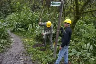 El majestuoso jardín botánico de Horco Molle abrirá sus puertas en octubre