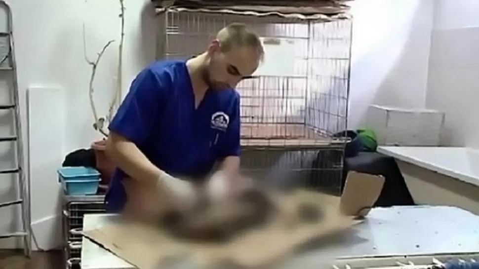 FOTO TOMADA DE TN.COM.AR