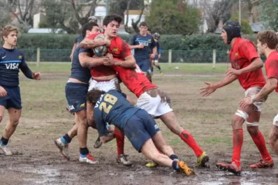 Esponjas de información