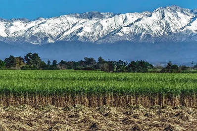 ¿Existe una literatura tucumana?