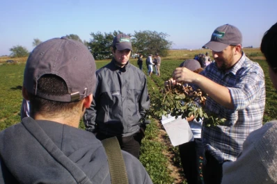 El rol del profesional agropecuario