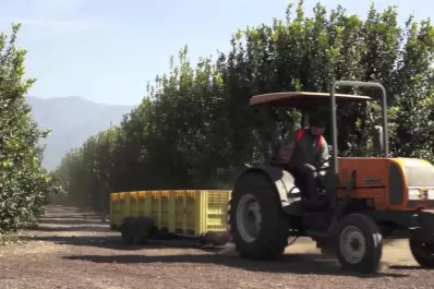 La competitividad exige innovación tecnológica, promoción y acompañamiento al productor