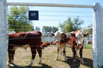 Resultados de la primera evaluación nacional de gestiones ganaderas