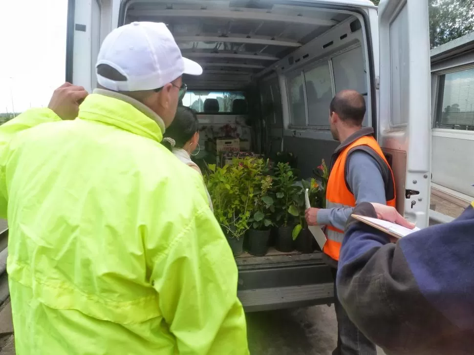 NORMAS. Los técnicos del Senasa interdictan todo material vegetal cuyo origen no esté debidamente certificado.  