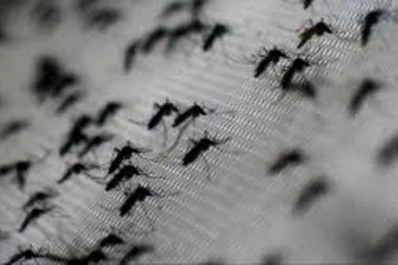 La epidemia de dengue es la peor de la historia