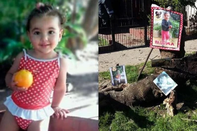 Una nena de dos años murió aplastada por un árbol