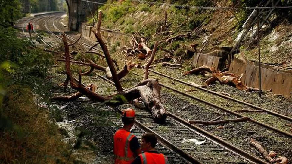 TORMENTA. Personal trata de sacar los restos del árbol caído. FOTO TOMADA DE CLARIN.COM