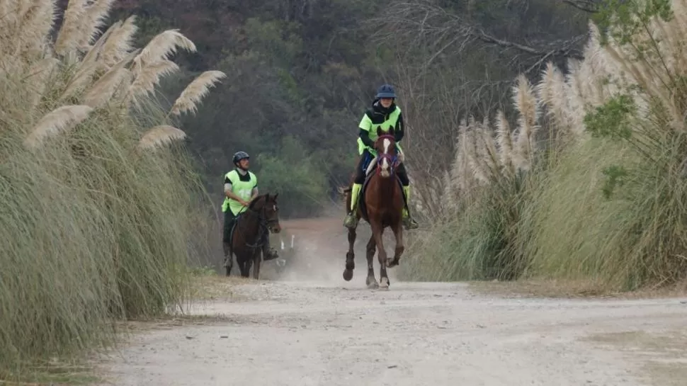 MUY BUEN NIVEL. Ana Lucía Cúneo Vergés tuvo un excelente rendimiento. foto de la Asociación de Endurance y Pruebas de Fondo del NOA 