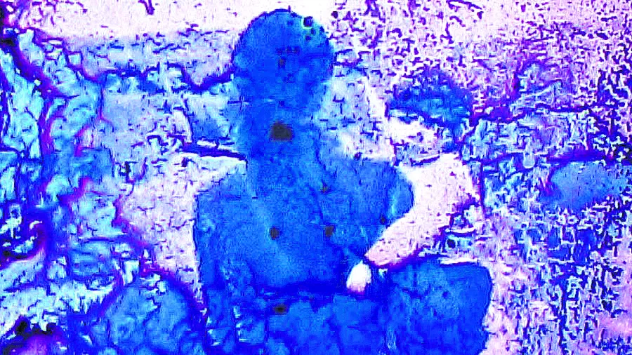 HISTORIA NO CONTADA. “Free radicals”, de Pip Chodorov, investiga sobre los orígenes del cine experimental. 