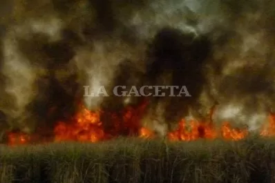 Bomberos debieron sofocar dos incendios en el mismo cañaveral