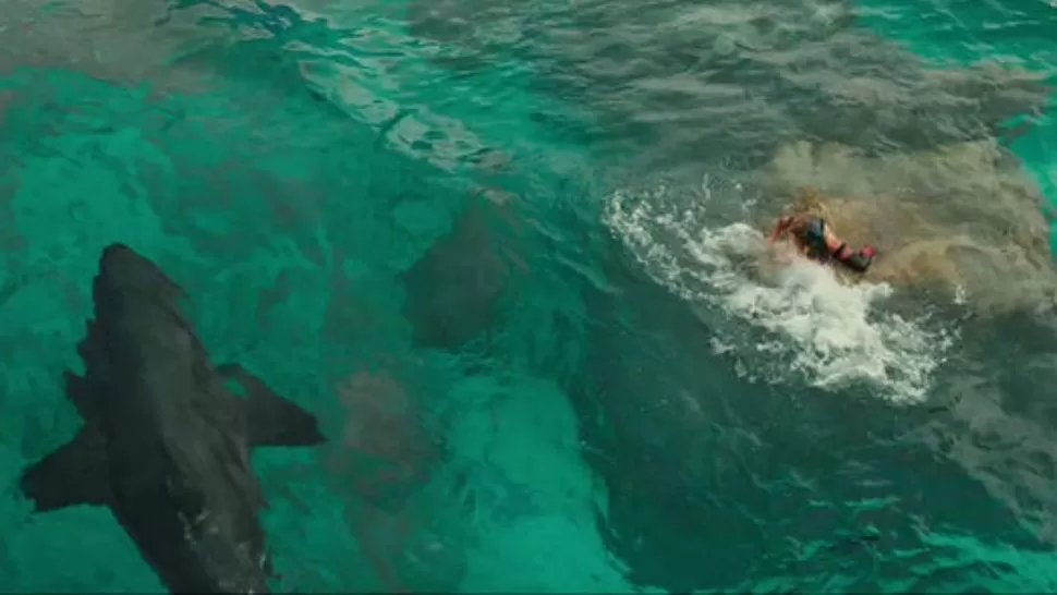 Vuelve a los cines el animal más temido de los océanos con Miedo profundo