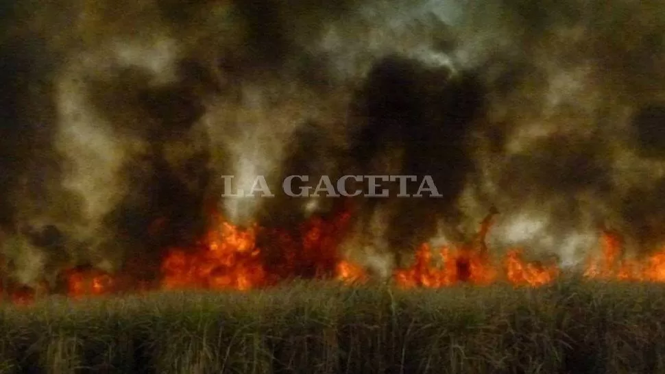 Bomberos debieron sofocar dos incendios en el mismo cañaveral