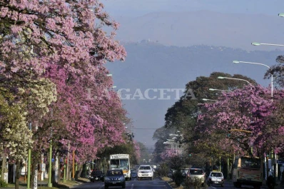 Preparate para una temperatura máxima que llegaría a 33°, en Tucumán