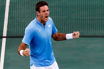 Del Potro debutará en el US Open ante el argentino Schwartzman