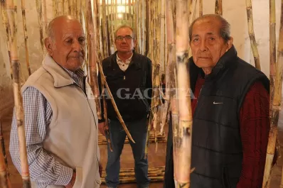 “Había que dejar limpita la caña, si no el ingenio no la recibía”