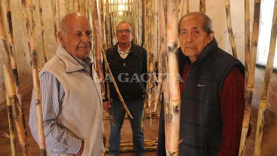 EX OBREROS. Armando Suárez y Domingo Torres en una instalación de Rodolfo Soria hecha con cañas, en el casco del ex ingenio. Detrás, Mario Soria. LA GACETA / FOTOS DE FRANCO VERA