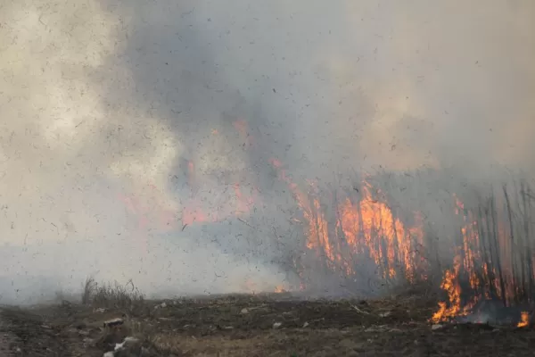 Se esperan los picos de incendios entre agosto y septiembre, advierte Defensa Civil