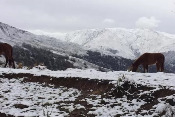 San Pedro de Colalao también se cubrió de nieve