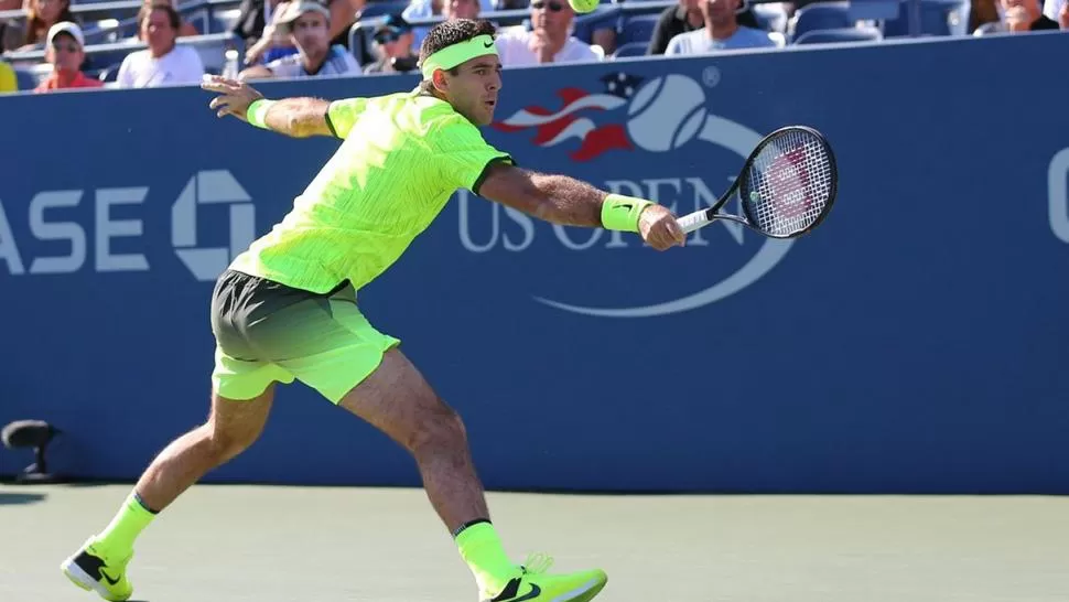 Del Potro despachó a Schwartzman y avanzó de ronda