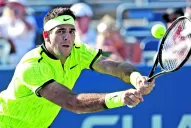 Del Potro se vistió con el color de la victoria