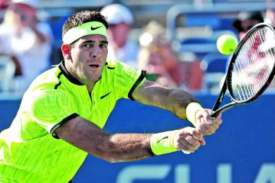 Del Potro se vistió con el color de la victoria