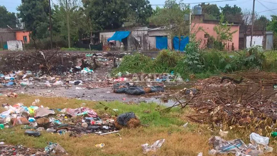 Basura, ratas y boca de tormenta tapada en Bernabé Aráoz al 1.600