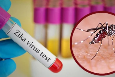 Vuelven los mosquitos y reaparece el fantasma del zika