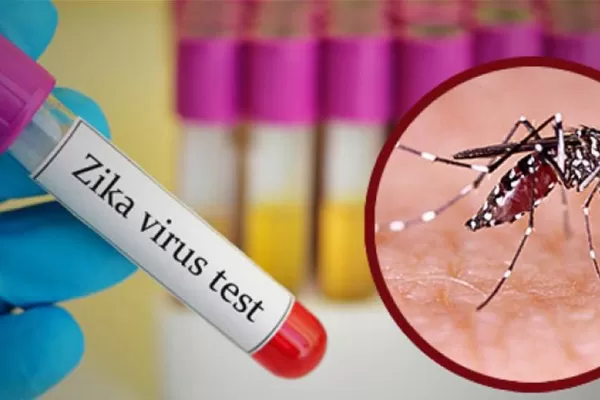 Vuelven los mosquitos y reaparece el fantasma del zika