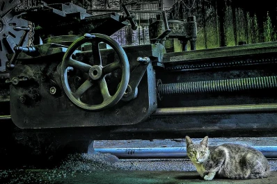 Más sobre la actividad cultural y del espectáculo para hoy