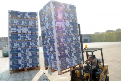 Azúcar y limón apuntalan las ventas externas de Tucumán